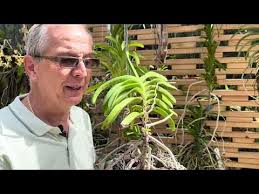 Garden Unseen Orchid House