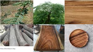 Pin On Teak Vs Acacia Patio Furniture