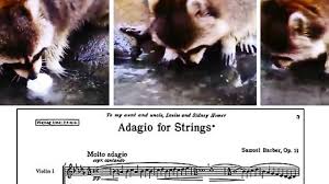 So, he goes to the factory and speeds up the machinery. That Video Of The Raccoon Losing His Candyfloss Is Now Even More Tragic With Classic Fm