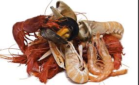 Para comprender un poco este fenómeno en crecimiento presuroso cabe citar en principio alguna definición básica que nos permita comprender que es una red social, cómo funcionan en internet y algunas nociones sobre su historia. El Consumo De Marisco En Los Ninos Tambien Tiene Sus Reglas El Norte De Castilla
