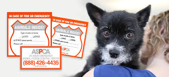 Loves all people and animals. Pet Safety Pack Emergency Rescue Window Sticker Aspca