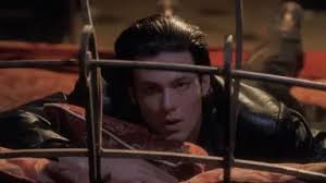 情迷但丁湾-哔哩哔哩_Bilibili