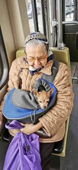 Dogspotting' Is A Group Where People Share Only The Best Unexpected  Encounters With Dogs (50 New Pics)