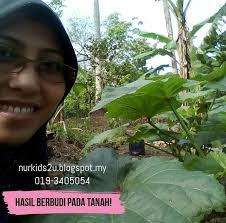 Cili padi, daun limau purut, daun kunyit, daun pisang. Never Lose Hope Nikmatnya Bila Berbudi Pada Tanah