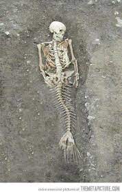 Galubt ihr an meerjungfrauen oder ähnliches? Real Life Mermaid Real Mermaids Real Life Mermaids Mermaid Skeleton