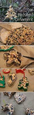 How To Make Birdseed Christmas Ornaments Ehow Christmas Crafts Festive Crafts Homemade Christmas