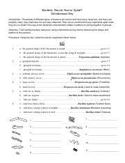 Add to my workbooks (16) download file pdf embed in my website or blog add to google classroom Bacteria Dichotomous Key Pdf Bacteria Round Rod Or Spiral Dichotomous Key Introduction Thousands Of Different Types Of Bacteria Are Known And Have Course Hero
