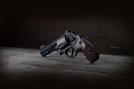 Golongan i (lulusan sd dan smp). Model 29 Smith Wesson