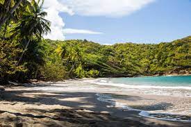 Check spelling or type a new query. Dominica Strande