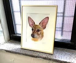 Maybe you would like to learn more about one of these? Pet Portrait Project Alexis Anne Marino