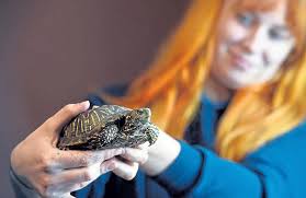 Reporter Herald Year in Photos 2022 by Prairie Mountain Media