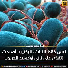 ليس فقط النبات البكتيريا أصبحت تتغذى على ثاني أوكسيد الكربون حيث أدى تطور صناعي موجه الي جعل البكتيريا تتغذي على ثاني أكسيد الكربون من الهواء ال Blueberry Fruit