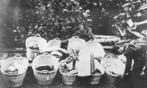 Sie sahen arisch aus, sprachen fließend deutsch, sodass sie als arische krankenschwestern im deutschen feldlazarett in banská bystrica aufgenommen wurden. Arier Holocaust Enzyklopadie