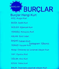 Suru Lideri Jdjskslajfjfjslslw Burclar Ikizler Yay Burcu