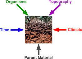 10 U Soil Pedogenesis