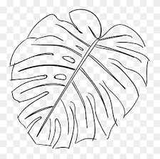 Leaf Swiss Cheese Plant Line Monstera Angle White Text Png Pngwing Use a small square and draw vertical lines down. leaf swiss cheese plant line monstera