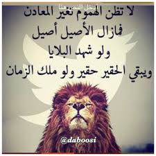 اغنية الاصيل اصيل غناء امينه توزيع درامز العالم شريف شعوزه2019. O Xrhsths ÊŸ É¾shà­¨à­¨à±ªà©­ Sto Twitter Ù„Ø§ ØªØ¸Ù† Ø§Ù„Ù‡Ù…ÙˆÙ… ØªØºÙŠØ± Ø§Ù„Ù…Ø¹Ø§Ø¯Ù† ÙÙ…Ø§Ø²Ø§Ù„ Ø§Ù„Ø£ØµÙŠÙ„ Ø£ØµÙŠÙ„ ÙˆÙ„Ùˆ Ø´Ù‡Ø¯ Ø§Ù„Ø¨Ù„Ø§ÙŠØ§ ÙˆÙŠØ¨Ù‚Ù‰ Ø§Ù„Ø­Ù‚ÙŠØ± Ø­Ù‚ÙŠØ± ÙˆÙ„Ùˆ Ù…Ù„Ùƒ Ø§Ù„Ø²Ù…Ø§Ù† Ø¯Ø¨ÙˆØ³ÙŠ