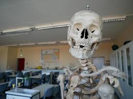Próbna matura z operonem to ogólnopolski egzamin próbny, który przygotowujemy dla uczniów liceów i techników już od 2007 roku. Matura Probna 2021 Biologia Poziom Rozszerzony Nienawidze Roslin Pierwsze Komentarze Krakow Super Express