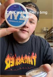 Zimo Blueberry Review