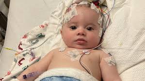 Fundraiser for Maria Kuziw by Kelly Treder : Help Mighty Mateo Battle  Aggressive Brain Cancer