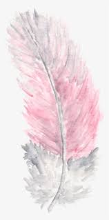 Available for hd, 4k, 5k pc, mac, desktop and. Tumblr Wallpaper Pink Wallpaper Iphone Wallpaper Pink And Grey Feather Png Image Transparent Png Free Download On Seekpng