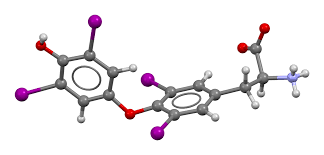 So, after 3 days, your labs will in no way reflect an unmedicated state. Levothyroxine Wikipedia