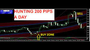 Fousalerts + fous4 chat room review for day trading by how to day trade (part 2) setting up your trading business. How To Make 200 Pips A Day With Forex Trading 2020 Youtube