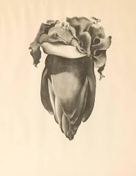 Georgia O Keeffe Atlantis Edition Banana Flower Plate Viii Georgia O Keeffe Georgia Okeefe Georgia O Keeffe Paintings