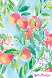 Peach Pie Lilly Pulitzer Iphone Wallpaper Lilly Pulitzer Patterns Lilly Prints