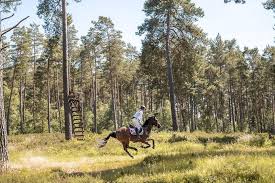 Die olympischen spiele werden vom tod eines pferdes überschattet. Robin Godel Home Facebook
