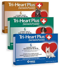 tri heart plus chewable tablets merck animal health usa