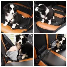 Medium dog car harness extra info. Best Dog Car Harness Uk Top 10 Safe Reliable Selections