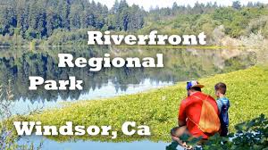 You may see geese, egrets, herons, hawks, woodpeckers, owls, jays, warblers, sparrows, and other birds while enjoying a walk around the lake. Hiking Riverfront Regional Park Sonoma County Trail Guide Youtube