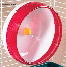 Unsafe Wheels Sugar Glider Info