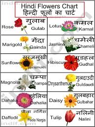 List Of Common Flowers To Print This In 2020 Hindi Language Learning Learn Hindi Hindi Worksheets