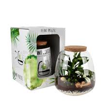 Plant Puzzle Terrarium Diy Kit Plants By Post