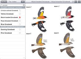 When i think of my favorite birds grosbeaks is near the top. Eguide Update Redesigned For Ipad Sibley Guides