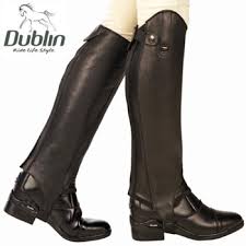 dublin brown intensity gaiter half chaps