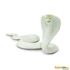 We have 50+ background pictures for you! Safaripedia White Cobra