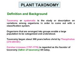 plant taxonomy