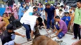 Danger camel run away anari qasai eid ul adha. Newsflare Camel Qurbani Karachi 24th Aug 2018