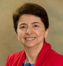 2025 PEO Council Elections by Engineering Dimensions