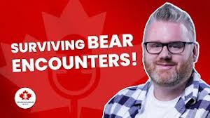 CANADIAN WILDLIFE: What to do if you run into a bear!