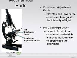 Other microscopes have an iris diaphragm with a lever that opens and closes the diaphragm to let in varying amounts of light. Introduction I Whats Histology Ii Why We Study