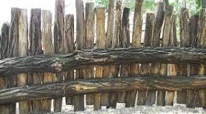 Sichtschutz Aus Schwartenbrettern Naturholz Schwartenbretter Sichtschutz Holz Sichtschutz