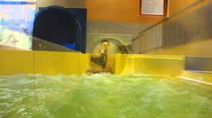 Atlantis Dorsten Black Hole Rohrenrutsche Black Mamba Onride Youtube