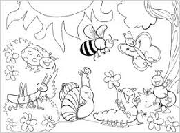 Animal coloring pages for kids. Insects Free Printable Coloring Pages For Kids