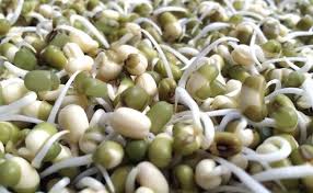 Proteines Vegetales Liste Des Aliments Qui En Contiennent Le Plus Proteines Vegetales Choux Haricot