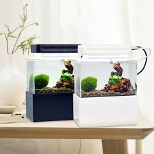 Desktop Fish Tank Aquarium With Water Filtration Led Air Pump Fish Sea Cage Fish Tank Ideas Of Fish Tank Fis Fish Tank Desktop Aquarium Creative Desktop