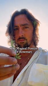 Unlock Rosemary's Hidden Powers: Boost Memory, Clear Energy, and More